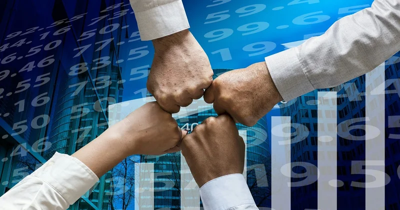 Quels sont les 3 types de croissance ?